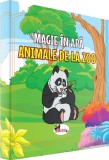 Magie in apa. Animale de la zoo - Editura Aramis