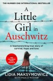 A Little Girl in Auschwitz: A Heart-Wrenching True Story of Survival, Hope and Love