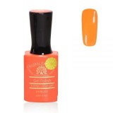 Cumpara ieftin Oja semipermanenta Premium 15 ml, 053