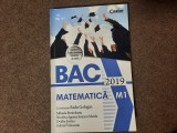 Bacalaureat 2019. Matematica M1 - Radu Gologan, Mihaela Berindeanu