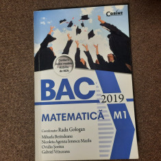 Bacalaureat 2019. Matematica M1 - Radu Gologan, Mihaela Berindeanu