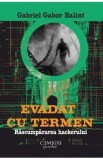 Evadat cu termen. Rascumpararea hackerului - Gabriel Gabor Balint