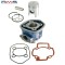 Set motor Aprilia SR Factory (03-09) 2T - Gilera DNA - Runner 2T - Piaggio NRG MC3 - Zip SP D.40mm LC 2T 50cc (5 colturi)