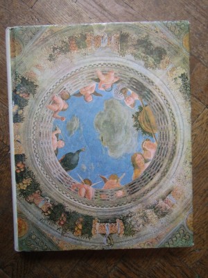 ISTORIA ARTEI EUROPENE- VIRGIL VATASIANU - ARTA DIN PERIOADA RENASTERII, BUC. 1972 foto