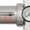 Filtru reductor VOREL