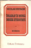 Incadrat in munca, doresc eternitate - Nicolae Cristache