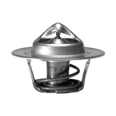 Gates termostat, lichid racire foto