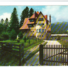 CPIB 18383 CARTE POSTALA - SINAIA, VILA "MOVILITA"