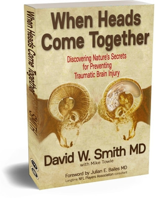 When Heads Come Together: Discovering Nature&amp;#039;s Secrets for Preventing Traumatic Brain Injury foto