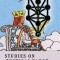 Studies on Mystical Tarot: The Court Cards
