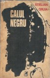 Calul negru - Stelian Gruia