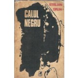 Calul negru - Stelian Gruia