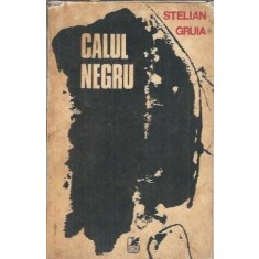 Calul negru - Stelian Gruia