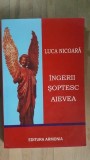 Ingerii soptesc aievea- Luca Nicoara