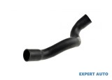Furtun admisie Volkswagen Polo (1994-1999)[6N1] #1