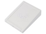 Carcasă alarmă ABS gri deschis 100x131x33,6 mm