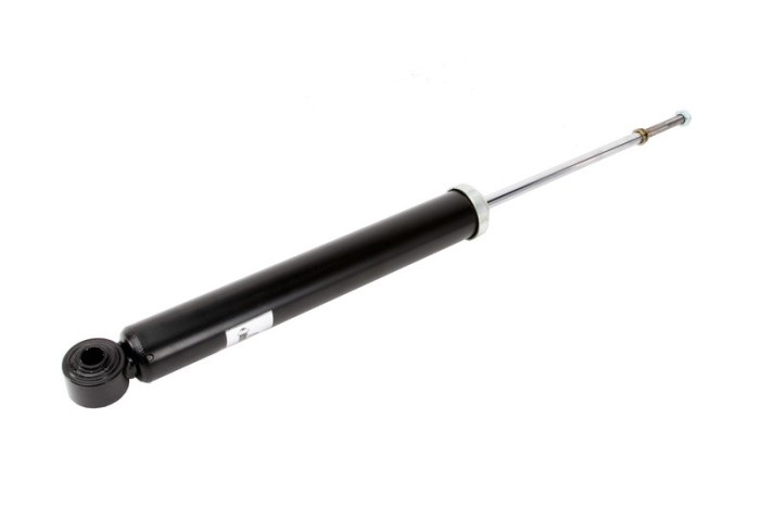 Amortizor HYUNDAI SANTA FE I (SM) (2000 - 2006) Magnum Technology AG0522MT