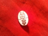 Insigna Studenteasca interbelica -Facultatea de Teatru si Muzica , Muzica , metal si email ,h=1,9cm