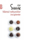 Sfantul nebuniilor incipiente (editie de buzunar) - Elif Shafak