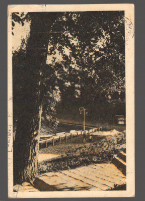 CPIB 19608 CARTE POSTALA - PARCUL SNAGOV foto