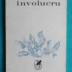 Ion Sofia Manolescu – Involucru ( autor de avangarda )