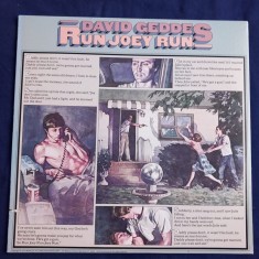 LP : David geddes - Run Joey Riun _ Big Tree, SUA, 1975 _ NM / NM foto