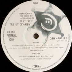 Terence Trent D&amp;#039;Arby - Introducing The Hardline According To Terence... (Vinyl) foto