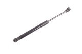 Amortizor haion st&acirc;nga AUDI A5 Cabrio 8F7 2010 OEM: 8F0827550A 14811635