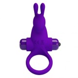 PRETTY LOVE - VIBRATOR RING I RABBIT FOR PURPLE PENIS, PRETTY LOVE MALE