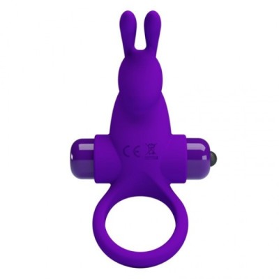 PRETTY LOVE - VIBRATOR RING I RABBIT FOR PURPLE PENIS foto