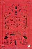 Aventurile lui Huckleberry Finn - Mark Twain