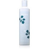 Echosline Frequent use Shampoo Sampon de curatare zi de zi. 300 ml