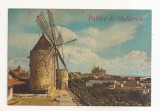 FA114 -Carte Postala- SPANIA - Palma de Mallorca, El Molino, circulata 1984