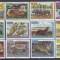 DB1 Fauna 1963 Venezuela 12 v. MNH