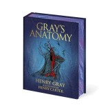 Gray's Anatomy, Henry Gray