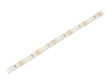 Bandă LED Alb Neutru 2835 - 96 LED/m, IP65, 12V DC