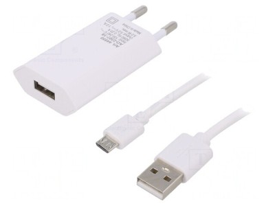 Alimentator Pulsatoriu 5W 5VDC Mufă EU foto