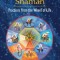 Taoist Shaman: Practices from the Wheel of Life