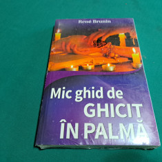 MIC GHID DE GHICIT ÎN PALMĂ / RENE BRUNIN / 2014 *