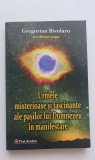 Urmele misterioase ale pașilor lui Dumnezeu &icirc;n manifestare - Gregorian Bivolaru