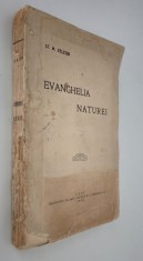 Carte veche 1915 Stefan Zeletin Evanghelia naturei