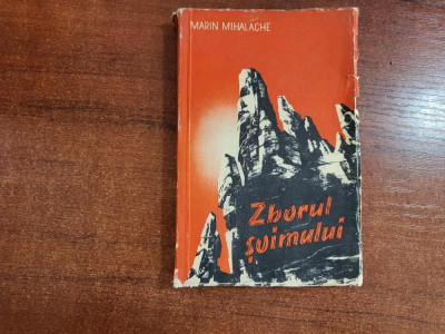 Zborul soimului de Marin Mihalache foto