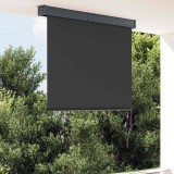 Cumpara ieftin Jaluzea tip rulou de exterior, antracit, 120 x 250 cm