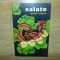 SALATE-IRAIDA LOGAN
