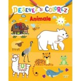 Desenez si colorez. Animale - Litera