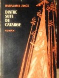 Dintre Sute de Catarge - Haralamb Zinca (1961), Roman, Editura Pentru Literatura, Carte Beletristica
