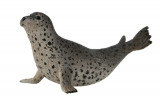 Foca Pestrita - Animal figurina, Collecta