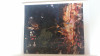 Adrian Ghenie - Darwin&#039;s Room: Album Pictura, Engleza, 96 Pagini, Format Mare, Stare Buna