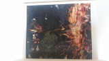 Adrian Ghenie Darwin&#039;s room album pictura