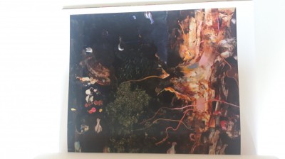 Adrian Ghenie Darwin&amp;#039;s room album pictura foto